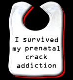 I survived my prenatal crack addiction baby bib